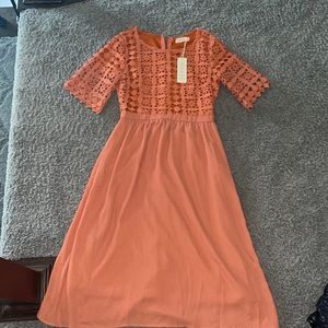 Brand New Orange Dress